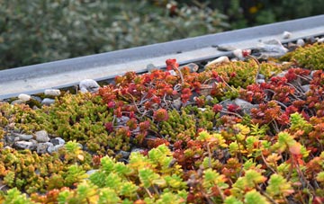 the cost of Benwick green roof installation