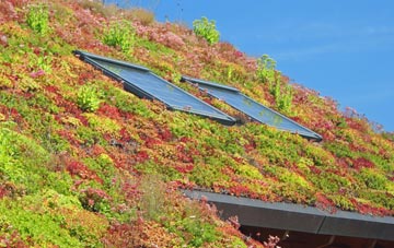 Benwick living roof systems