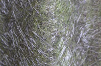 Benwick fibreglass roof work