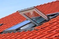 Benwick roof window